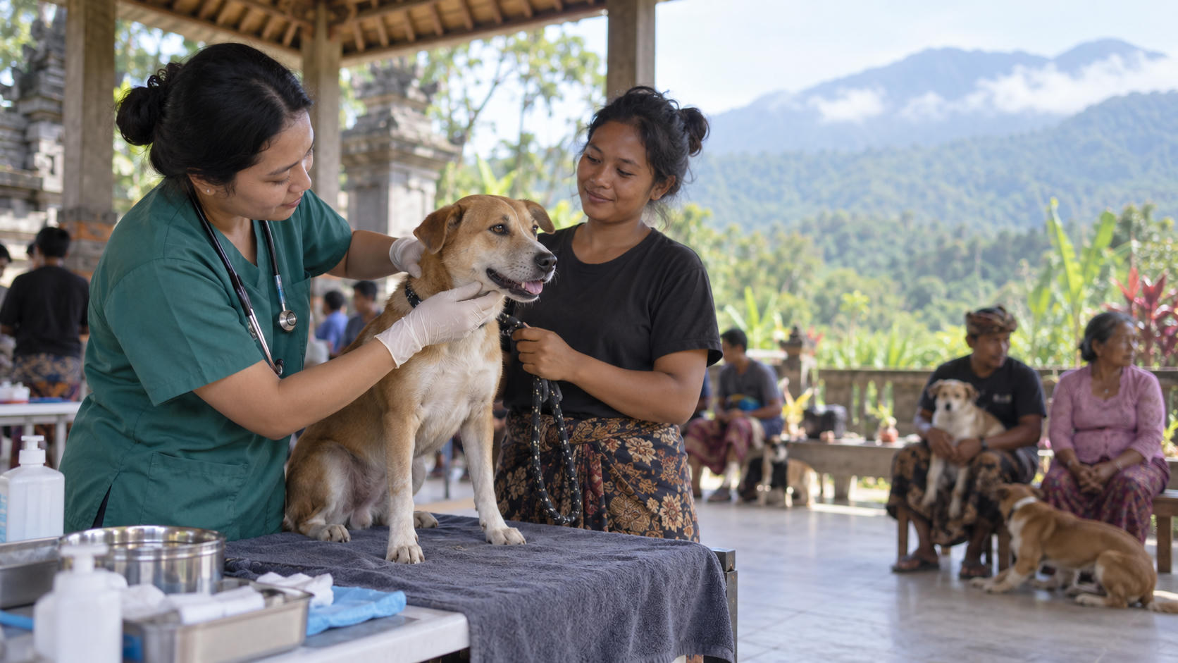 Sterilisasi Anjing Gratis di Gobleg: Syarat dan Persiapan